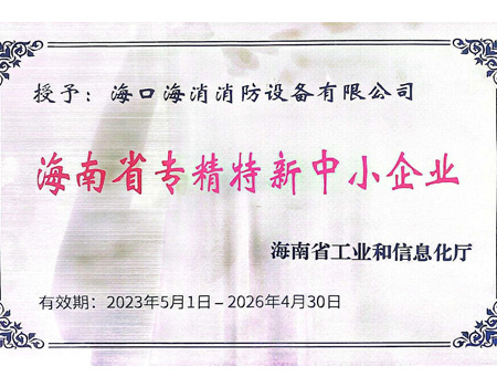 海南省专精特新中小企业
